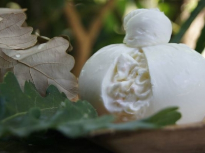 Burrata di Bufala