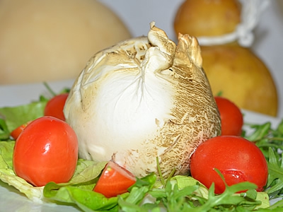 Mozzarella affumicata di bufala