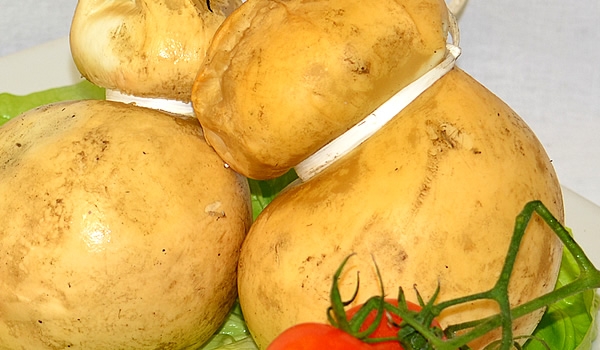 scamorza affumicata