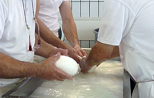 lavorazione artigianale mozzarella