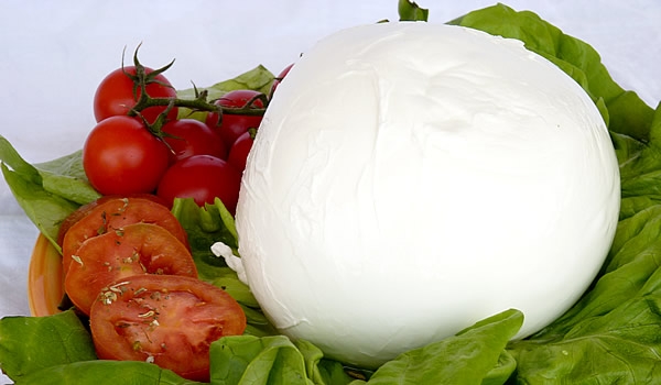 Zizza di Battipaglia - Mozzarella di bufala artigianale